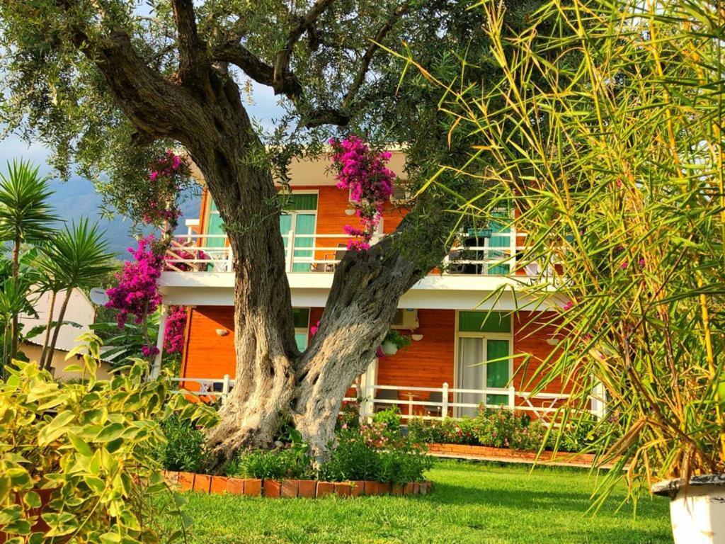 Hotel Jon Dhermi Exterior photo